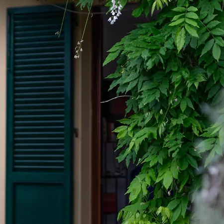 Un Giardino Sul Forno - Goelba *